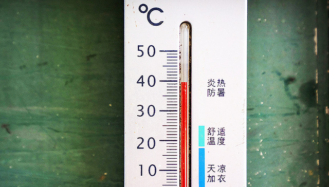 【图集】我国高温干旱持续发展：鄱阳湖瘦成闪电，乐山大佛河床露出水面