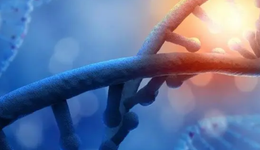 環(huán)狀RNA五十年：從“棄子”到風口