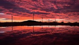 “馭風(fēng)計(jì)劃”會(huì)重蹈光伏“整縣推進(jìn)”的覆轍嗎？