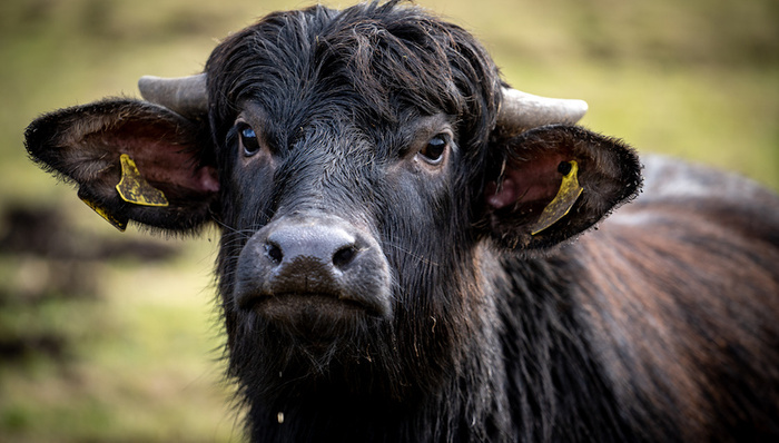 光伏,太阳能电池,皇氏集团