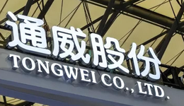 通威股份凶悍出击，四川富豪刘汉元搅动光伏圈