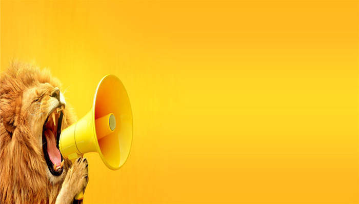 合肥城建，房地产，商业地产，合肥市，楼价