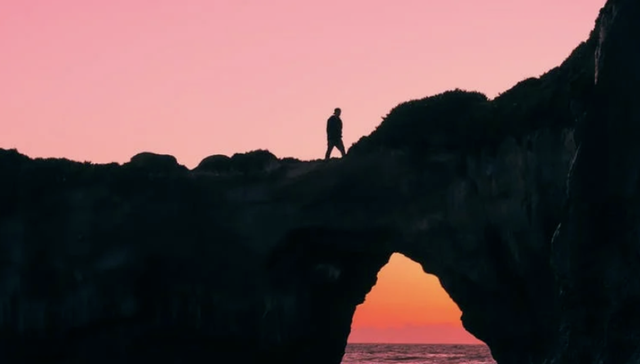 特斯拉,蔚来,汽车,电动车,财报