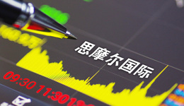 中美两大市场销售收入下滑，思摩尔上半年净利减半