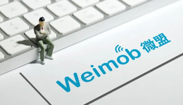 有赞、微盟：一对“难兄难弟”