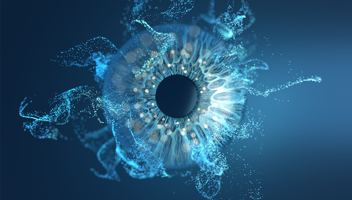 冠昊生物;人工晶体