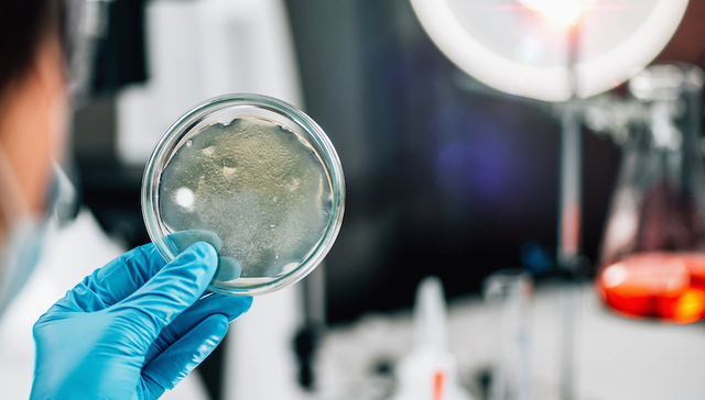 孙娟娟：“过罚相当”还是“过罚不当”？“毒芹菜”案背后食品安全执法面临难题