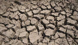 7月以來南方干旱造成3785萬(wàn)人受災(zāi)，直接經(jīng)濟(jì)損失315億元