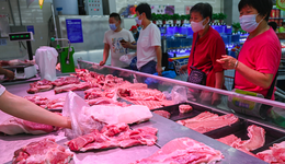 年內(nèi)首次豬肉儲備投放開啟在即，但消費旺季仍將支撐豬價