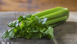 法治面｜5斤芹菜被罰6.6萬，過罰相當(dāng)嗎？