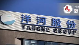 洋河股份“失去的三年”，新董事长张联东拿回来了吗？