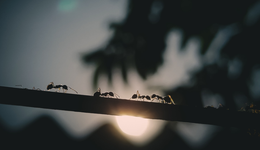 三七、君趣入局，廣州廠商SLG迎來新機(jī)遇？