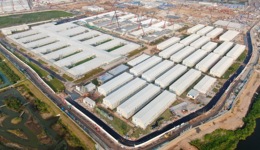 香港特区政府提出“逆向隔离”方案获广东支持：香港完成隔离，闭环进入内地