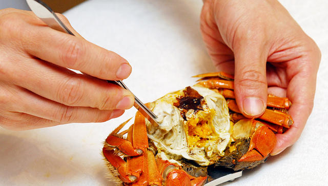 大闸蟹,中秋,阳澄湖