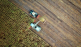 山地占3/4的重慶，如何在山地、丘陵上發(fā)展特色農(nóng)業(yè)？