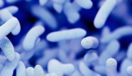 益生菌“真假”实录，是消费升级与“智商税”的对立？