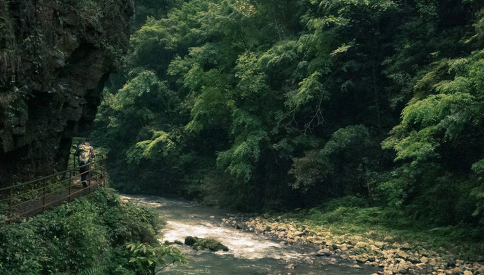 中国工程院院士王金南：我国碳中和目标下的投资重点在这些领域