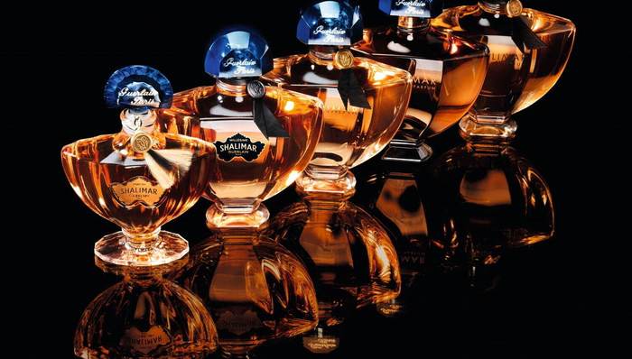 优衣库秋冬新品慵懒时尚，娇兰人气香水致敬百年原创 ｜ 是日美好事物