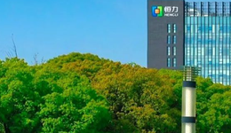 恒力石化，中国女首富的“逆周期”之战