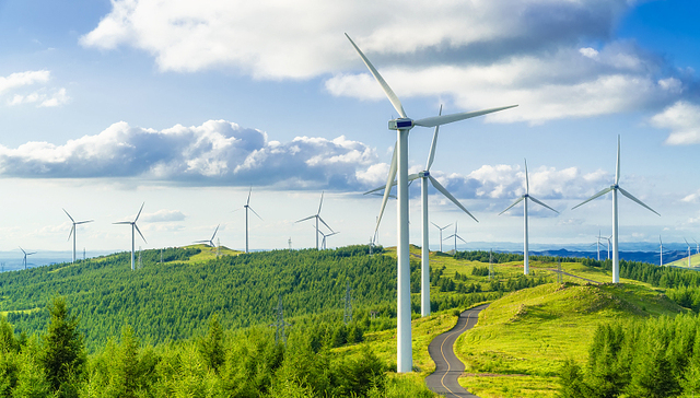 二季度光伏新增装机同比增113.6%，风电新增装机增3.7%