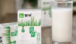 再創(chuàng)一個新蒙牛，蒙牛的對手是自己