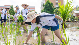 “双减”以来线下机构压减达95.6%，校外培训价格平均下降4成以上