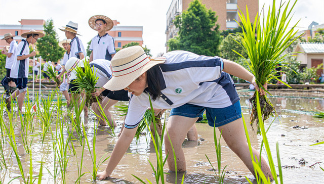 “双减”以来线下机构压减达95.6%，校外培训价格平均下降4成以上