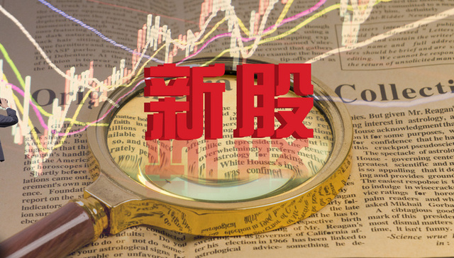 新股,打新收益,紫燕
