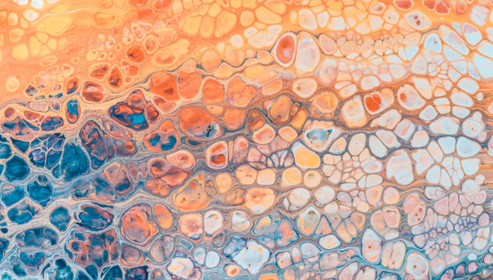 护肤品,外泌体,化妆品监管