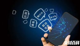 盘点9家支付机构半年报：利润多数不过亿