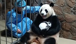 成都本輪疫情進(jìn)入掃尾階段，全域逐步有序恢復(fù)正常生產(chǎn)生活秩序