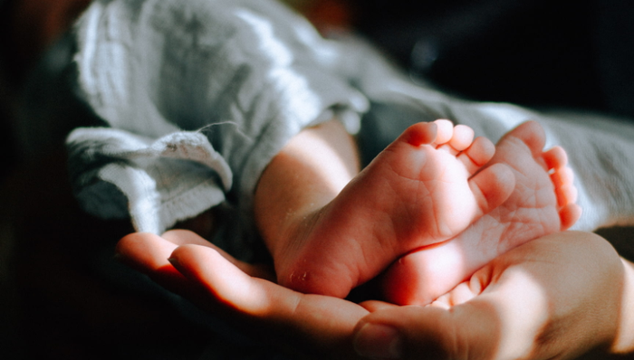 高瓴资本,月子中心,育儿,爱帝宫