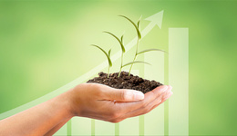 非法占用土地建厂房挨罚， *ST凯乐破产重整会受影响吗？