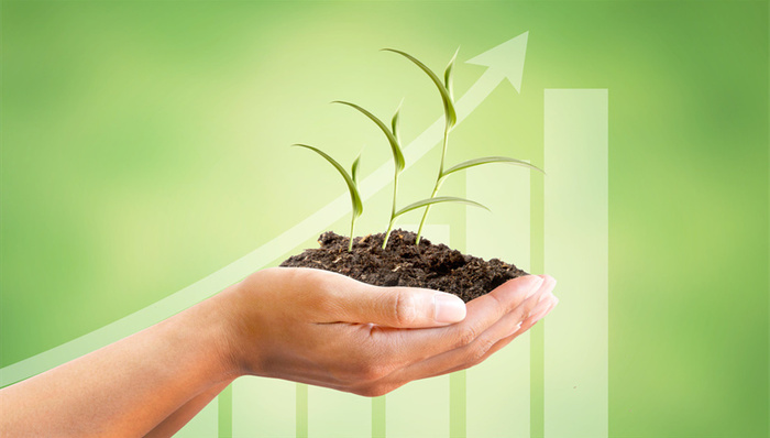 *ST凯乐、转网通信，破产重整，违规用地，财务暴雷