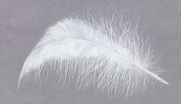 要相信我们内心没有破碎、被玷污、无论如何都不可以被破坏的那部分｜一周新书推荐