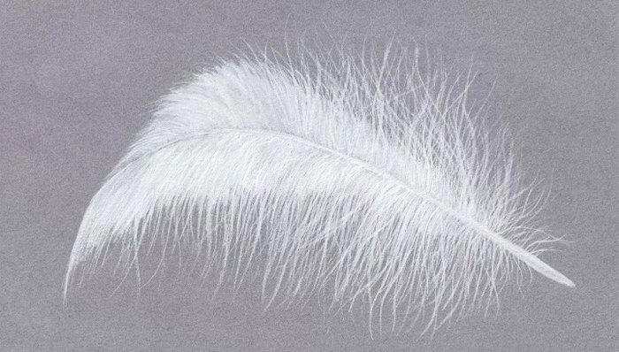 历史,回忆录,书单控,宇宙学,中世纪