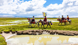 我国将建世界最大国家公园体系，林草局：布局方案近期发布