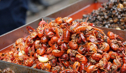 我，放弃外企高薪卖小龙虾创业，不到一年就后悔了