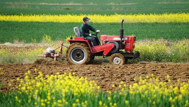 直通部委 | 2021年全国耕地总量实现净增加 我国经济总体延续恢复发展态势
