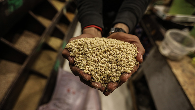 【图集】自然灾害与极端天气：全球的粮食危机在持续