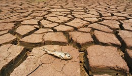 江西超95%縣市區(qū)出現(xiàn)特重氣象干旱，9月下旬全省大部仍無降水