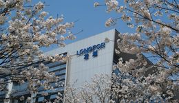 龙湖进行新一轮城市公司合并，80后李尧继续坐镇沪苏