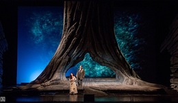 第25屆北京國際音樂節(jié)將延期舉辦，周年慶祝演出仍將進(jìn)行