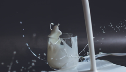 你家鄉(xiāng)的“網(wǎng)紅牛奶”，怎么都消失了？