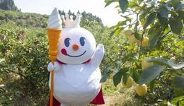 估值600億，蜜雪冰城上市只差“臨門一腳”？