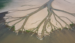 江西發(fā)布鄱陽湖枯水紅色預(yù)警，湖口水位或跌破6米