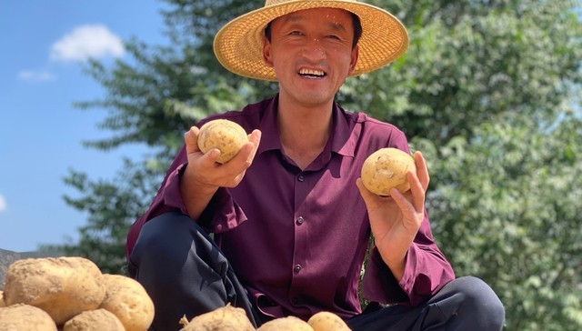 李聚东,马铃薯田,安定区,定西市,商品薯,农技师,错峰,洋芋,舞台,采收