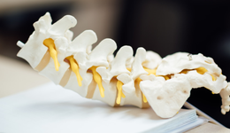 脊柱国采开标，威高又成最大赢家，哪些赛道仍是集采避风港？