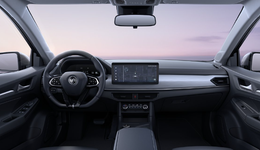 “另類”威馬：業(yè)績掉隊，薪酬搶跑