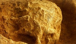 湖北發(fā)現距今百萬年人類頭骨化石：保存完整，預計11月可提取出土